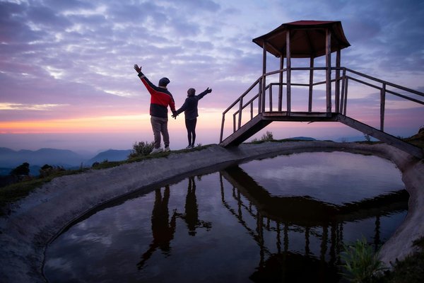 Explore the UK's Top Coastal Trails for Unforgettable Seal and Seabird Sightings